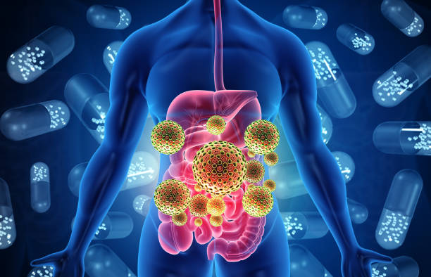 sistema digestivo humano infectado por virus y bacterias - gut bacteria fotografías e imágenes de stock