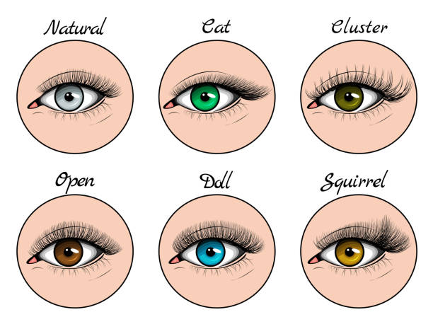 Story highlight covers with different types of lashes sets on blue, green, grey and brown eyes Story highlight covers with different types of lashes sets on blue, green, grey and brown eyes. Vector illustration on flat and hand drawn style. clump eyelashes stock illustrations