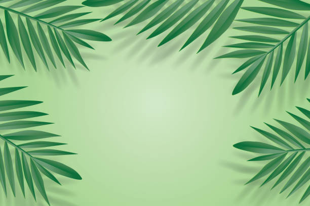 熱帯ヤシの緑の葉のフレーム緑の背景に。トレンディな折り紙カットスタイルのベクターイラスト。 - rainforest day sunlight plant点のイラスト素材／クリップアート素材／マンガ素材／アイコン素材