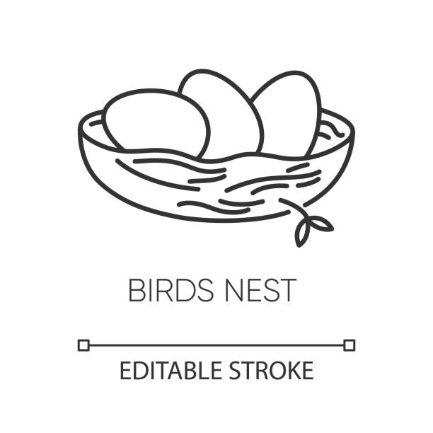 조류 둥지 픽셀 완벽한 선형 아이콘. 병아리 사육. 스킨케어 제품 구성 요소. 부활절달걀. 얇은 선 사용자 정의 일러스트레이션. 윤곽 기호입니다. 벡터 격리 된 윤곽선 도면입니다. 편집 가능한  - animal nest bird birds nest empty stock illustrations