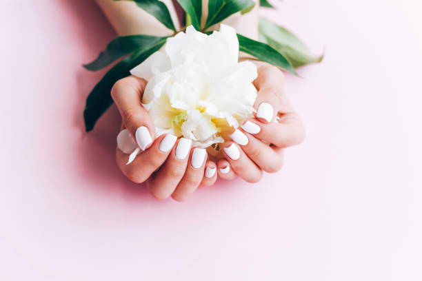 istock Female hands with white manicure hold a peony. 1250210871