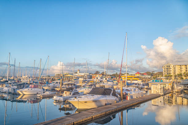 istock Morning at the boat harbour 1250218717