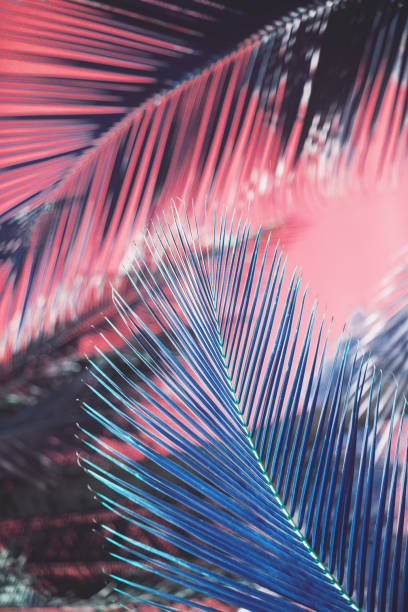 istock Neon colored palm tree branch on the pink background. Tropical trees background 1250224682