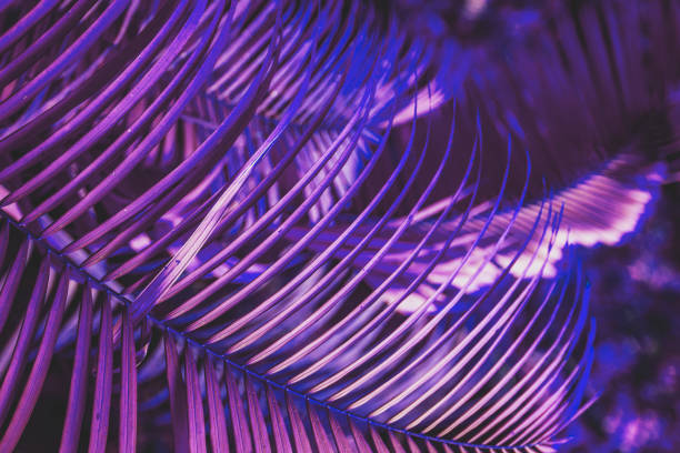 istock Neon colored palm tree leaves. Tropical trees background 1250224695