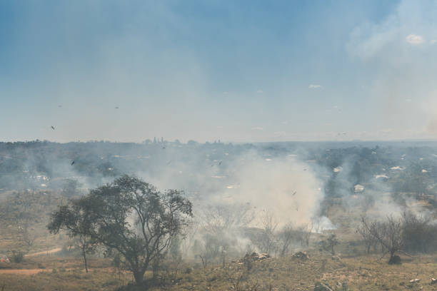 Burn off of dry grass in country town, Queensland, Australia