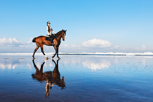 Young beautiful woman ride on sand beach. Horse with rider run along sea surf by water pool. Horseback walking tours, outdoor recreational sport, adventure activity on family summer vacation with kids