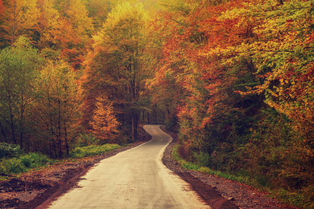 istock Beautiful autumn landscape 1250230812