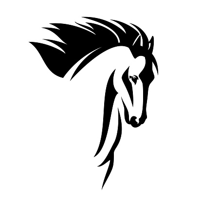 wild mustang horse with flying mane black and white vector head portrait