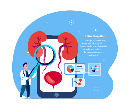 Online Diagnosctics.Doctor Nephrologist Diagnosing Kidneys, Bladder Nephros,Kidney,Renal.Internet Virtual Pain Management.Digital Consultation Medical Hospital Diagnostic,Treatment.Vector Illustration