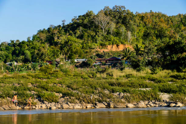 пейзаж с рекой и деревьями, цифровое фото изображение в качестве фона - luang phabang laos thailand mekong river стоковые фото и изображения