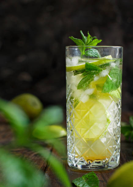 istock Homemade refreshing mojito cocktail in a tall glass 1250237463