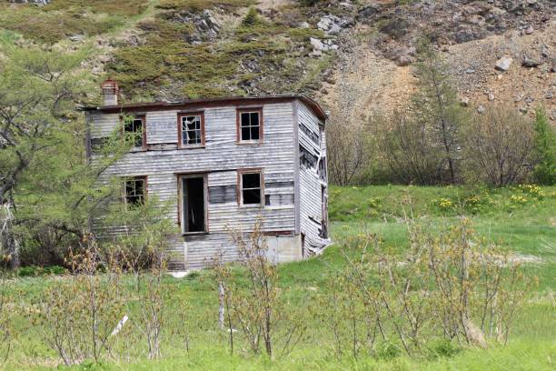 istock Abandoned Salt Box House in Newfoundland 1250238496