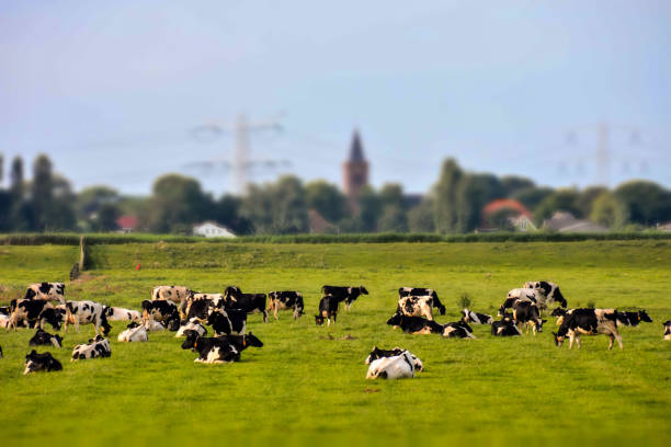 istock European natural countryside 1250238848
