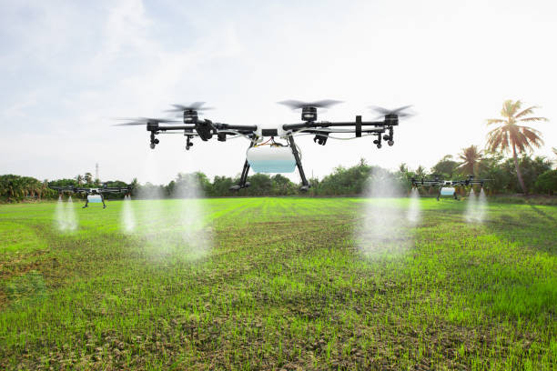 istock Agriculture drone fly to spray fertilizer on the rice fields 1250239121