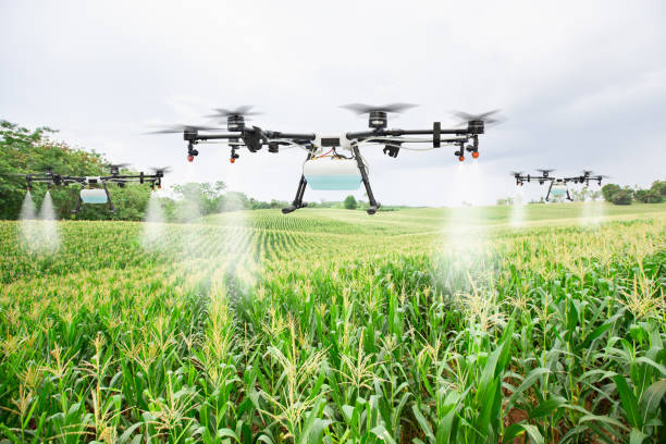 landwirtschafts-drohnenfliegen zu sprühendem dünger auf den maisfeldern - sprinkler fotos stock-fotos und bilder