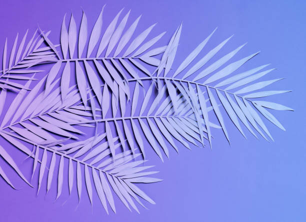 istock Neon colored palm leaves 1250240250