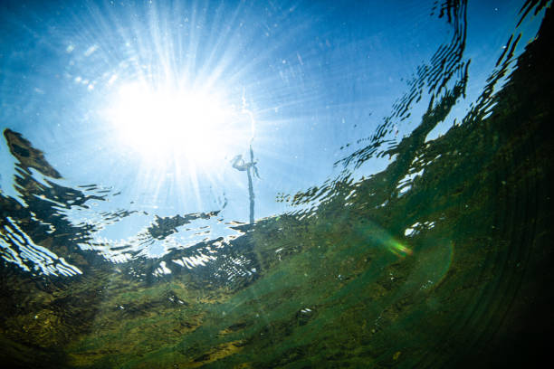 Splitshot underwater image above and below the sea surface showing coastal wind turbines at a wind farm at Avedøre Holme in Copenhagen, Denmark.