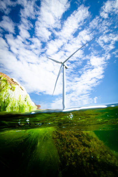 istock Wind turbines in the ocean 1250240545