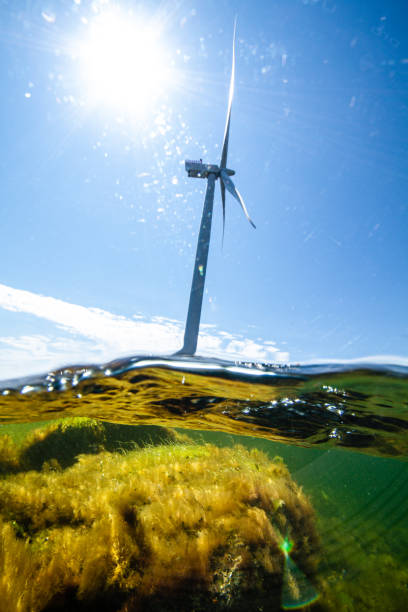 istock Wind turbines in the ocean 1250240547