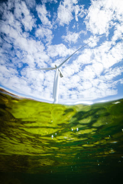 istock Wind turbines in the ocean 1250240740
