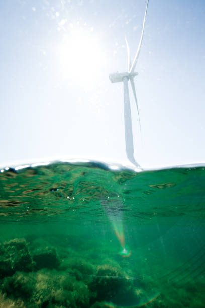 istock Wind turbines in the ocean 1250240751