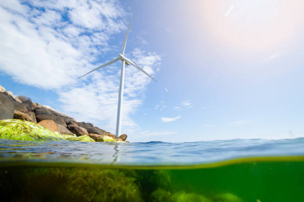 istock Wind turbines in the ocean 1250240754