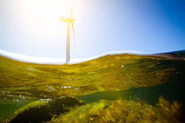 Wind turbines in the ocean