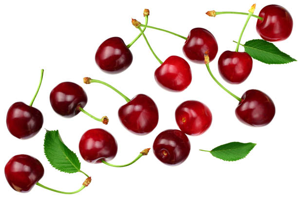 istock cherry with green leaf isolated on white background. Top view 1250246550