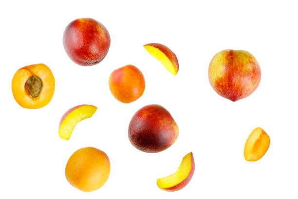 istock Whole  flying nectarines and apricots on white background. 1250247108