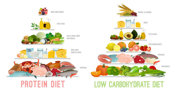 dieta niskowęglowodanowa białka - piramida figura geometryczna stock illustrations