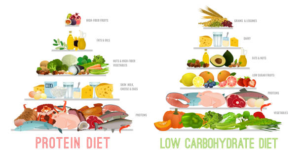 Protein Low Carb Diet High protein vs low carb diet horizontal poster. Dietary pyramids. Editable vector illustration. Different food types isolated on a white background. Healthy eating, Nutritional care, dieting concept. atkins diet stock illustrations