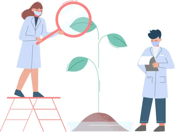 Vector illustration of Scientists in Lab, Team of Bioengineers in White Coat and Medical Face Mask Doing Professional Science Researchers with Plant and Magnifying Gass Flat Style Vector Illustration