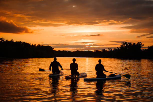 istock rear view on people on sup boards with paddles floating on the river at sunset. 1250248392