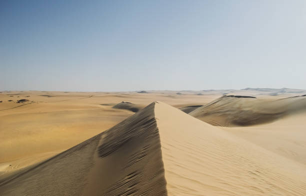 istock Dramatic landscape at siwa oasis egypt 1250250002