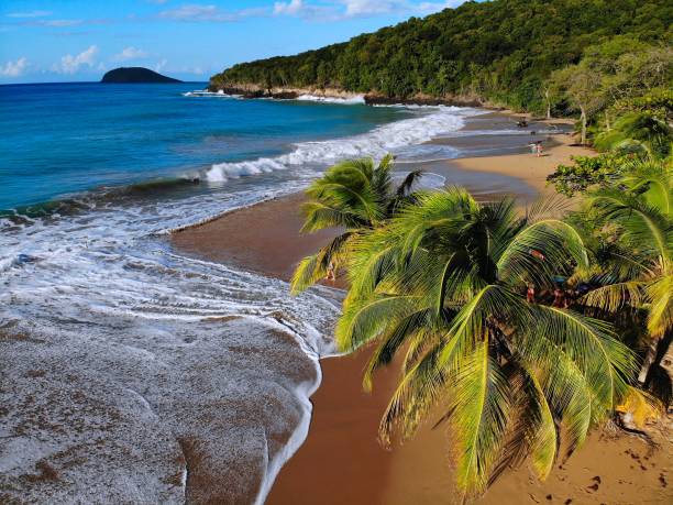 istock Guadeloupe Caribbean beach 1250251751