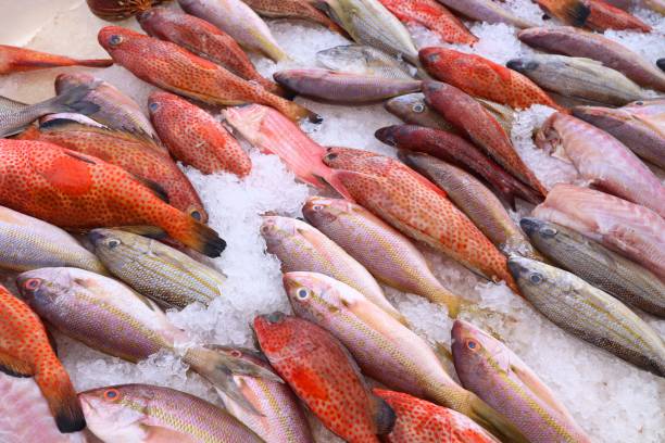 istock Fish market in Guadeloupe 1250251923