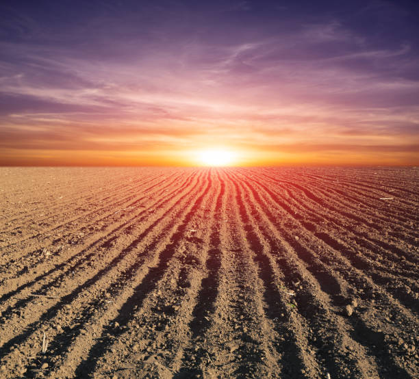 istock sunset over plowed agricultural field 1250254006