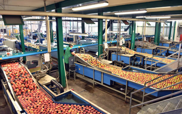 transporte de manzanas recién cosechadas en una fábrica de alimentos para la venta - cocina estructura de edificio fotografías e imágenes de stock