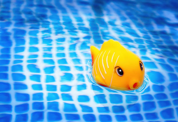 eva foam yellow fish white background