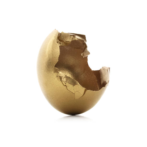 istock Cracked Golden Nest Egg 1250258172