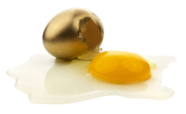 Isolated Spilled Gold Egg With Yolk