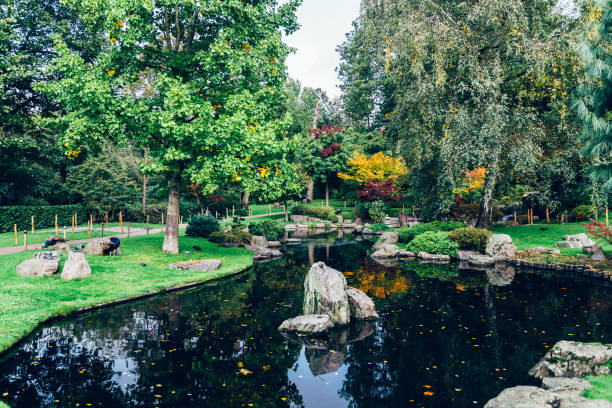 istock Autumn park, London, UK 1250258298