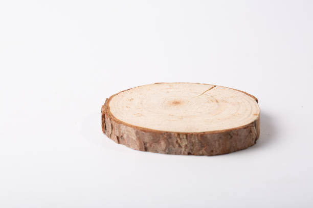 istock Stump and annual rings on white background 1250259613