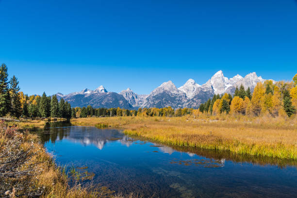 istock Stream to the Tetons 1250269781