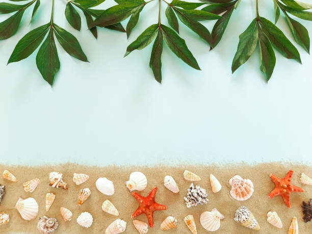 istock Composition of many white, beige exotic seashells different shapes on the sand. Summer advertising marine concept and decorative leaves on a blue background. Flat lay, top view, close up, copy space 1250269875