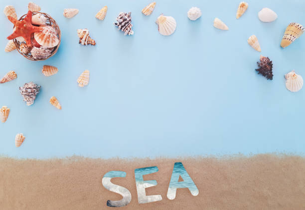 istock Composition of many white, beige, black exotic seashells different shapes and types, red starfish on a blue background. Lettering Sea on the sand. Summer marine concept. Top view, close up, copy space 1250270791