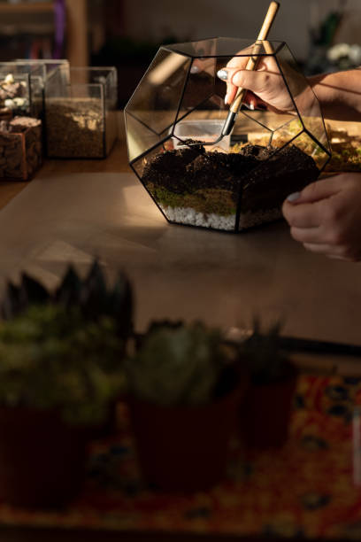 istock Girl Making Florarium in sunlight 1250276017