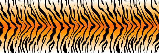 muster gestreiften tiger oder zebra haut druck hintergrund, lange banner tierfell, haar haut textur, nahtlos - tiger skin stock-grafiken, -clipart, -cartoons und -symbole