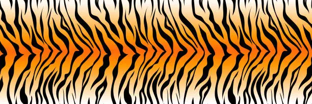 Vector illustration of Pattern striped tiger or zebra skin print background, long banner animal fur, hair skin texture, seamless