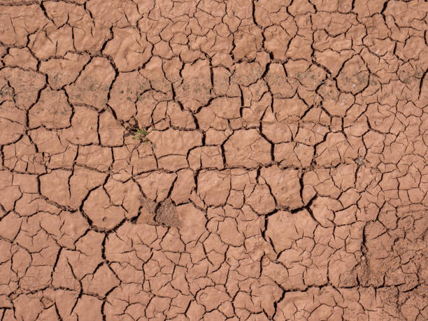 istock Cracks in the ground climate change dryness 1250277539